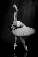 From inside of dance by EquusAhu