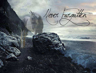 Never Forgotten by Seth4500