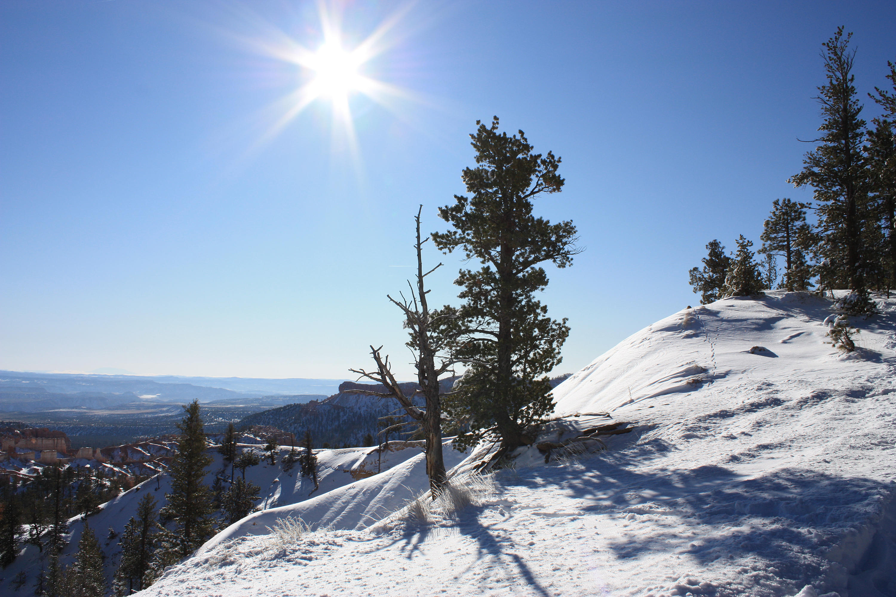 Bryce Canyon Winter Sun background 1 by photohouse