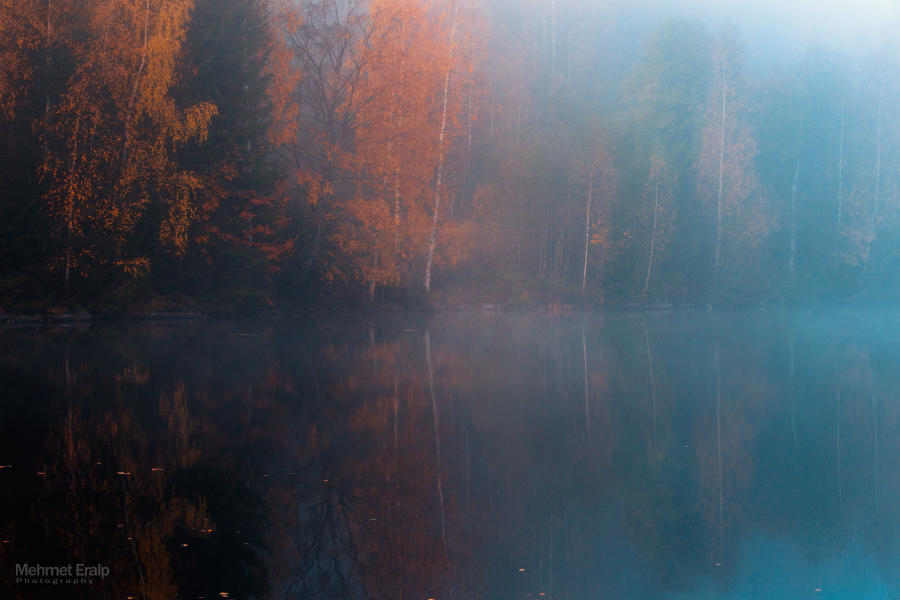 Mirrored autumn by m-eralp