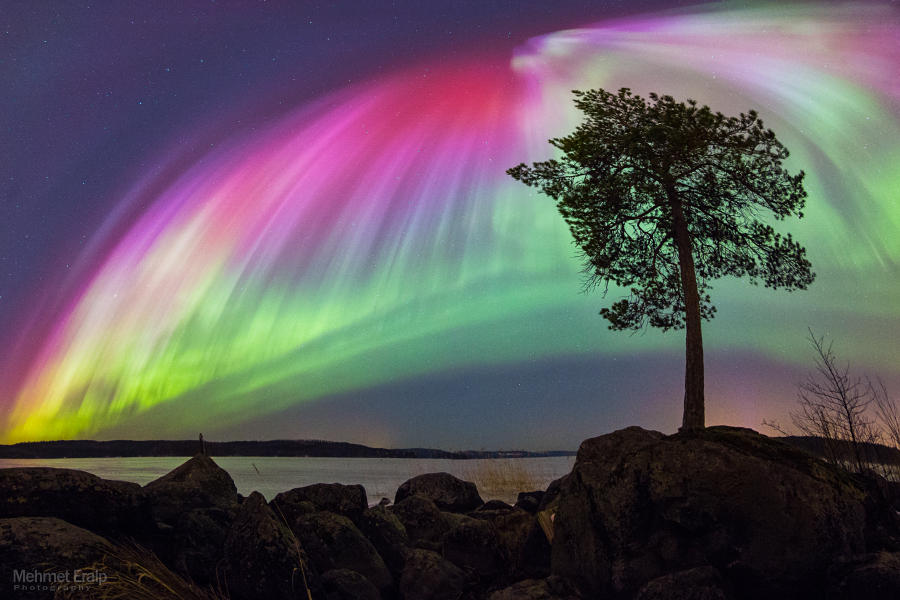 Tree and the magic by m-eralp Tree and the magic by m-eralp