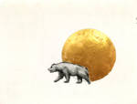 The Bear by seanpt