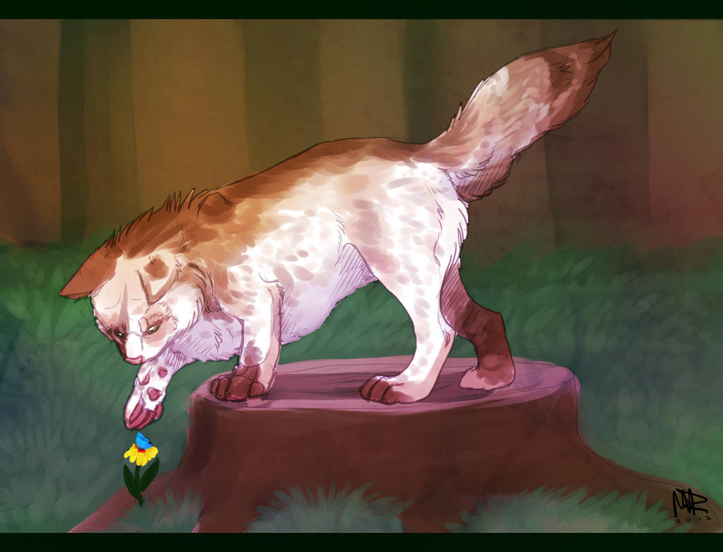 Request001: Hunter by marierockk