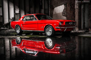 Red Pony by AmericanMuscle