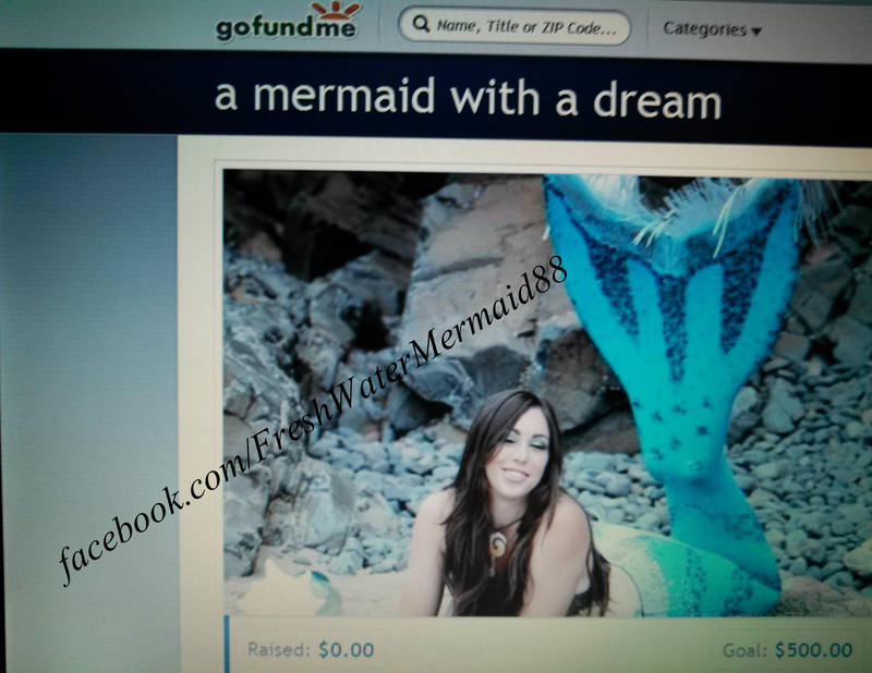 Go Fund Me :D by FreshwaterMermaid