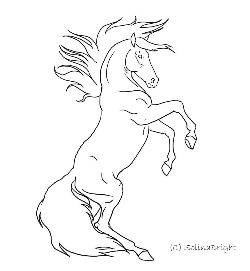 Horse Rearing Lineart by SolinaBright on DeviantArt