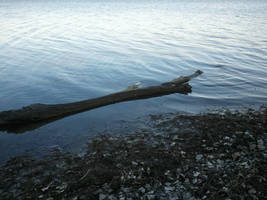 Lone, Drifting by Laur-Kay