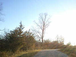 Nature Along the Road by Laur-Kay