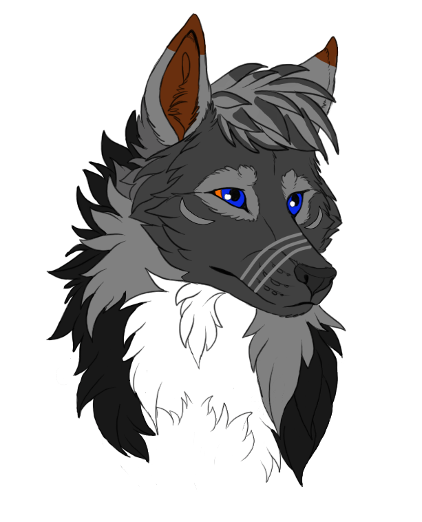 Wolf head - Free Lineart by StanHoneyThief on DeviantArt