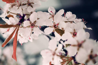 Fresh start by cloud-room