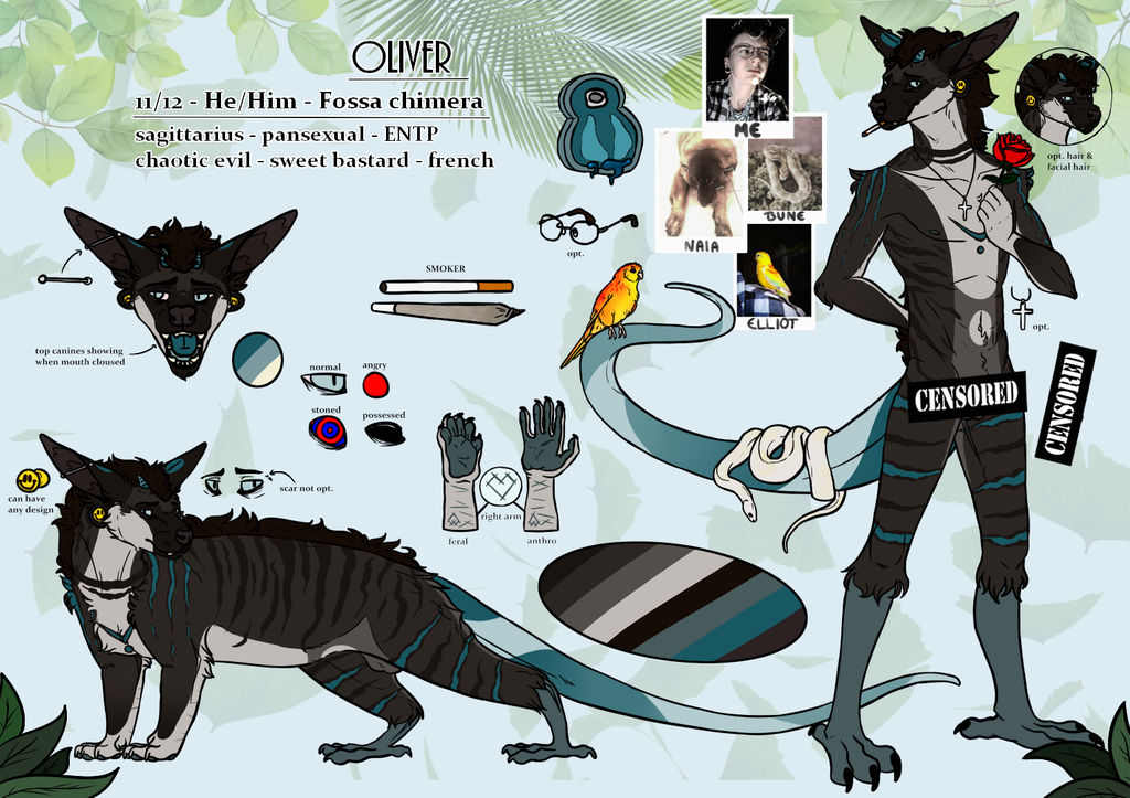 REFERENCE SHEET FURSONA Oliver by SHEOLE on DeviantArt