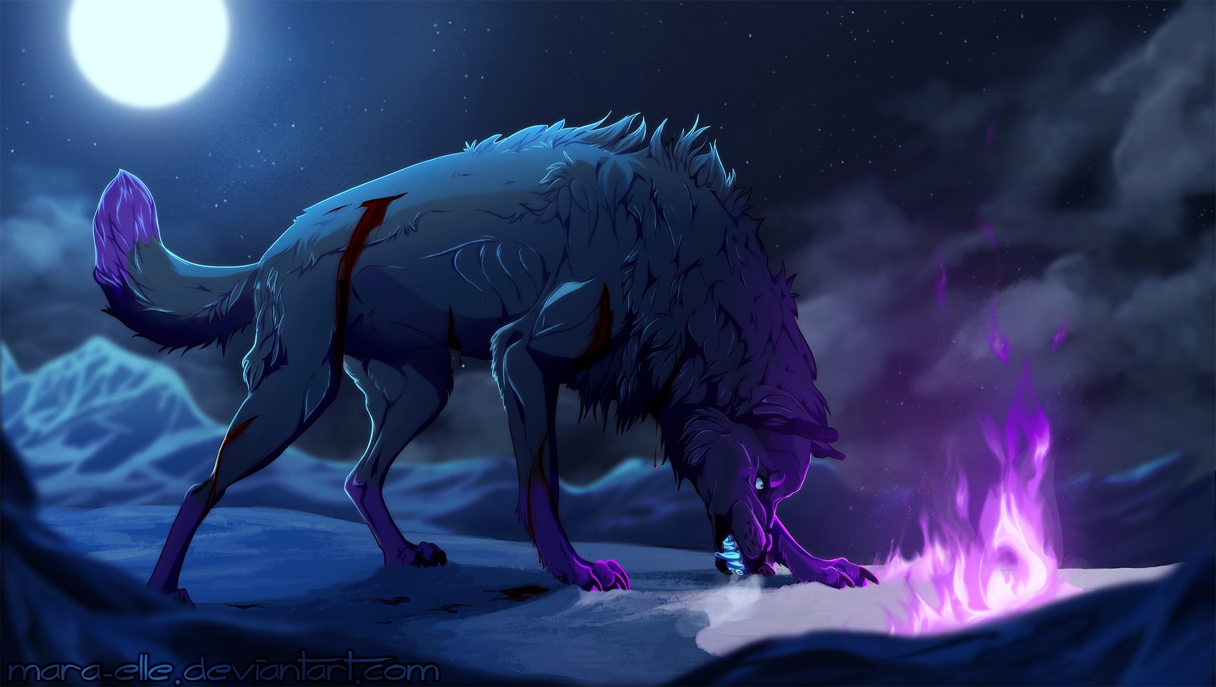 Com - Canis by Mara-Elle