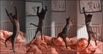 cat ballet by cougarLV