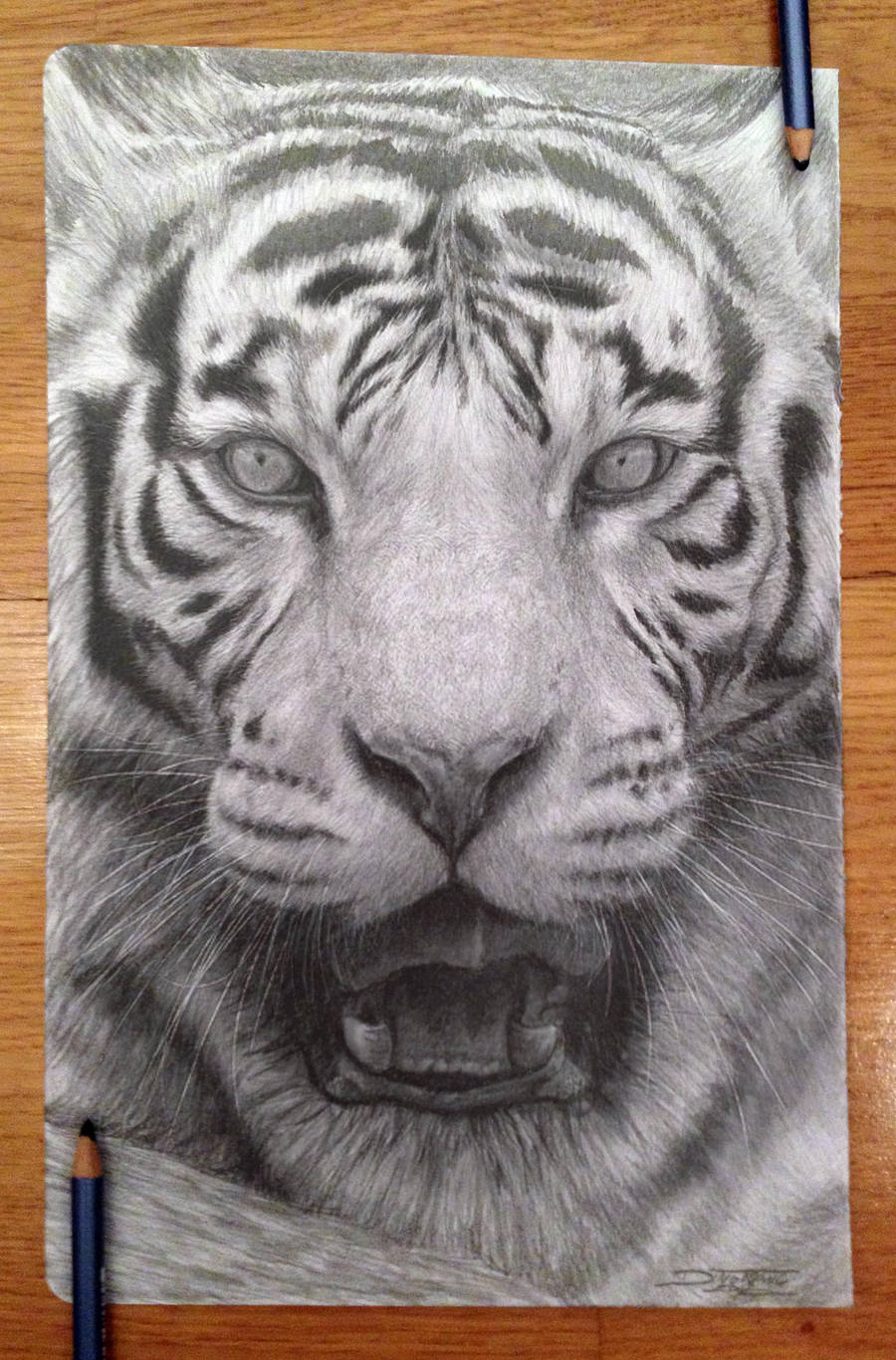 Tiger by AtomiccircuS