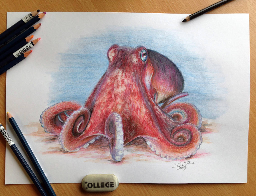 Octopus Pencil Drawing by AtomiccircuS