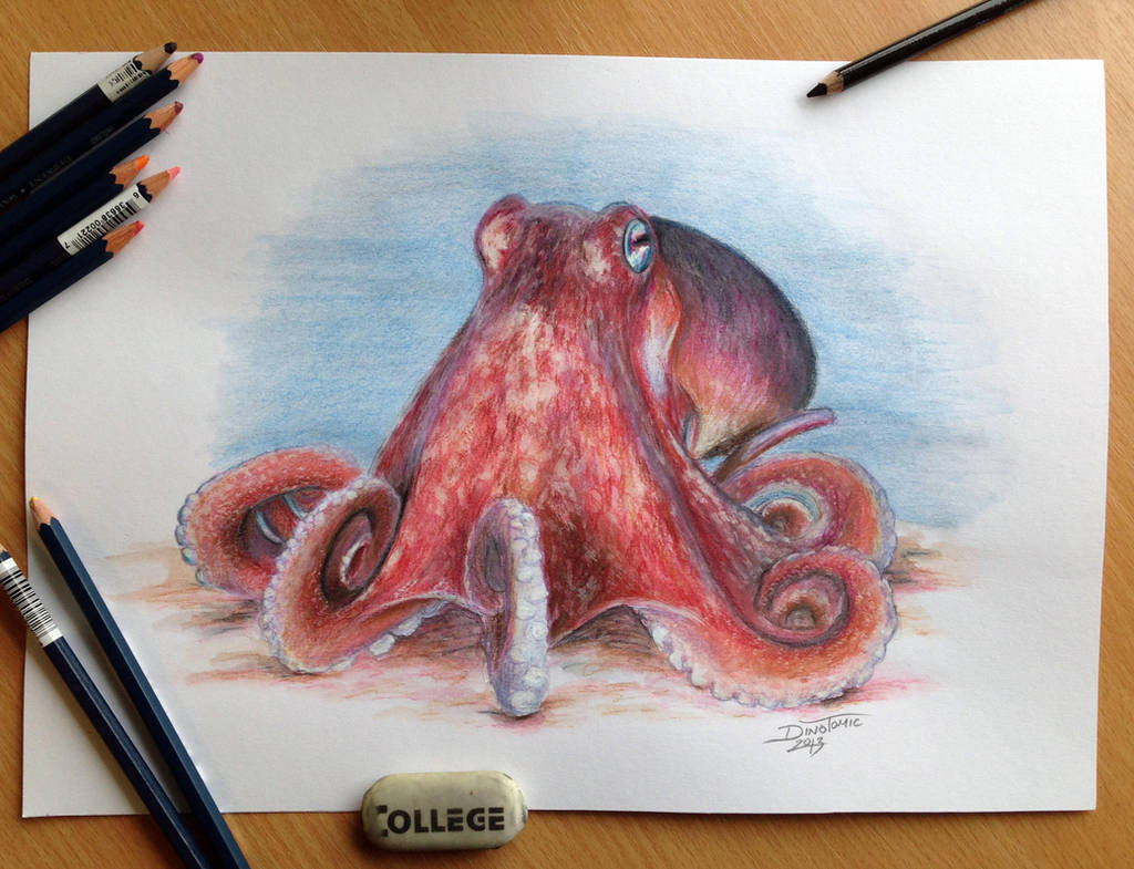 Octopus Pencil Drawing by AtomiccircuS