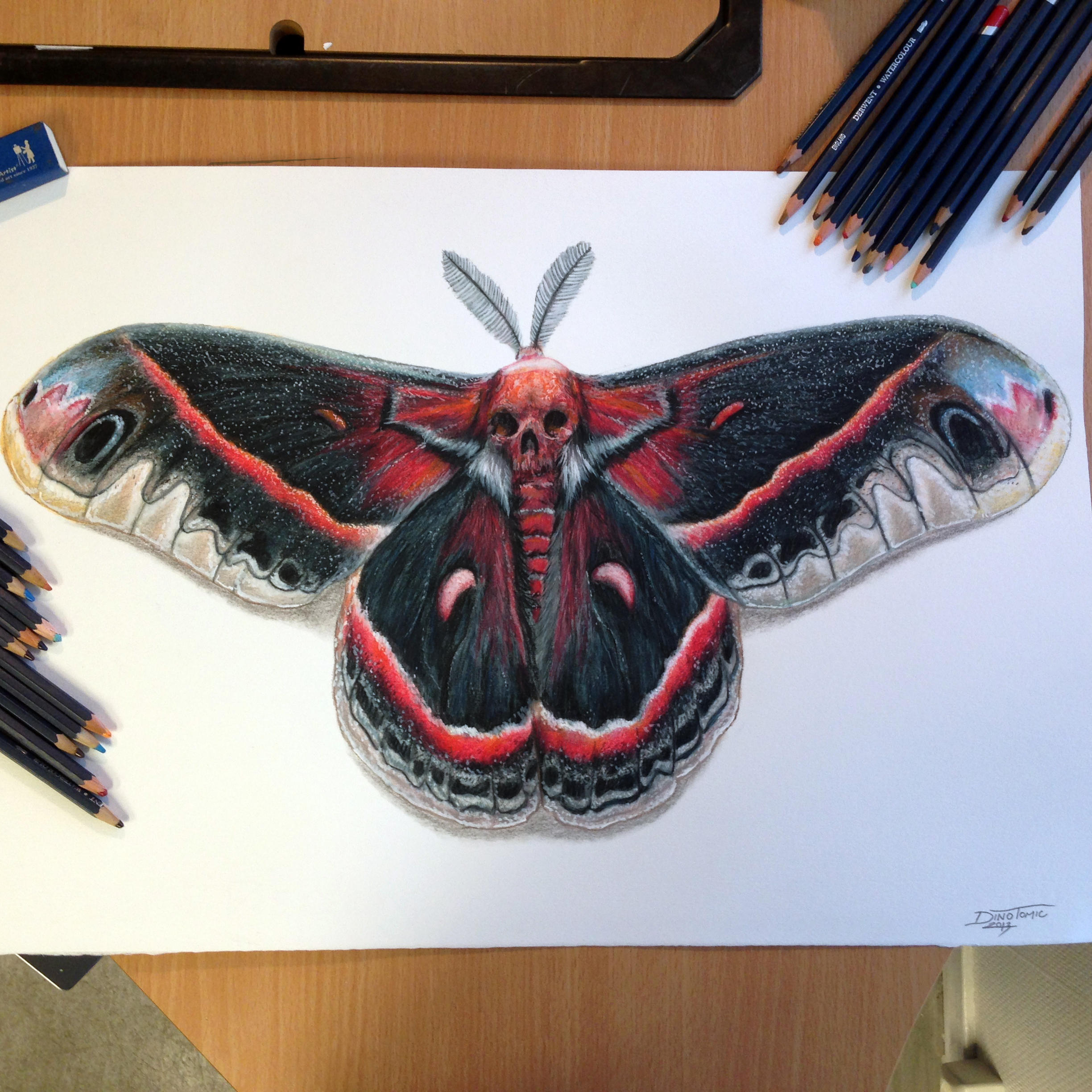 Moth Color Pencil Drawing by AtomiccircuS on DeviantArt