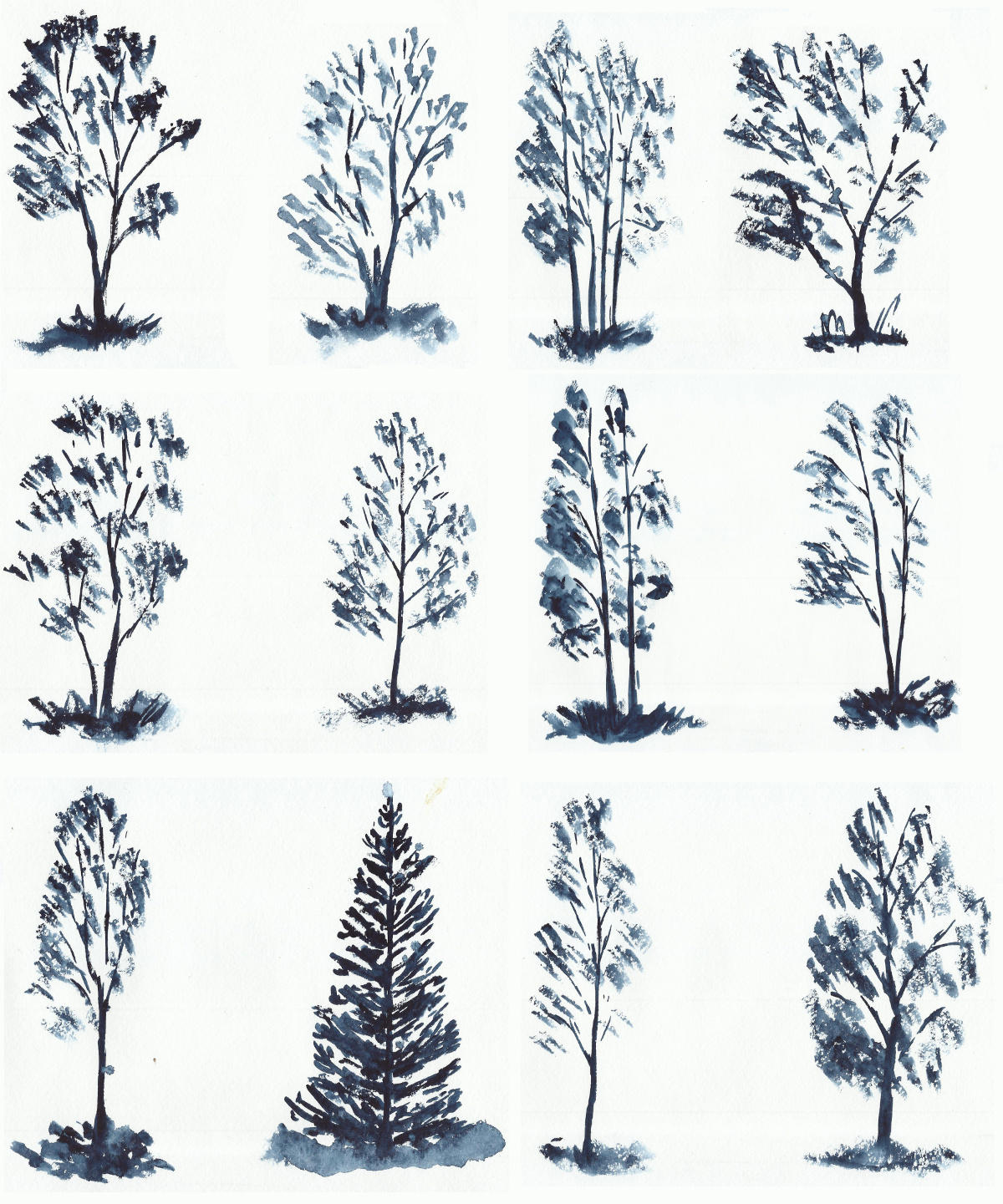 Trees studies/sketches by tulvit