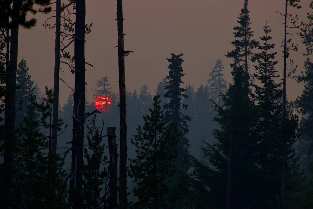 Red Sun by SkylerBrown