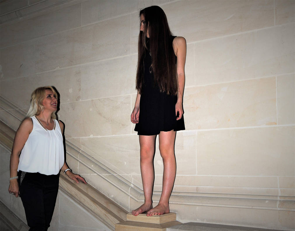 Daily life at Model School by swissmisses on DeviantArt