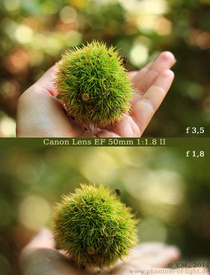 :: Canon 50mm bokeh :: by Phantom-of-light