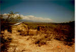 RFD Haiti by skinflute69