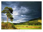 Before the Thunderstorm by denise-g