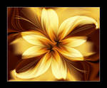 Lilly by denise-g