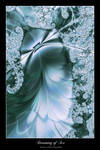 Dreaming of Ice.... by denise-g