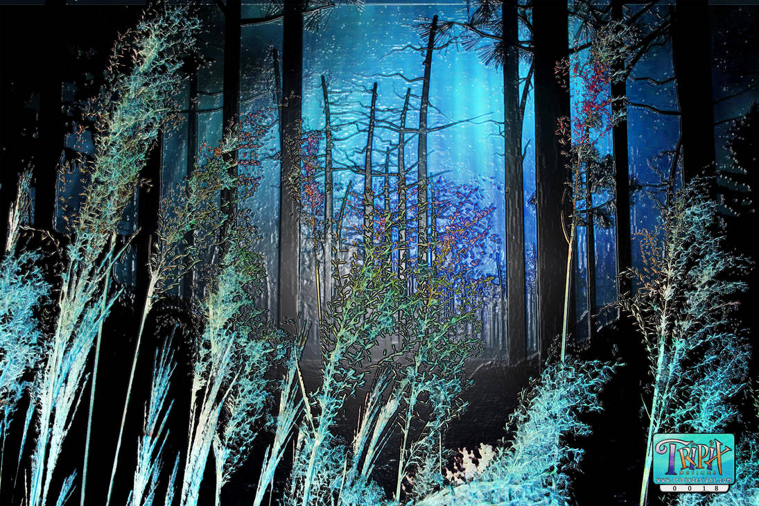 Supernatural Floresta by tripixdesigns