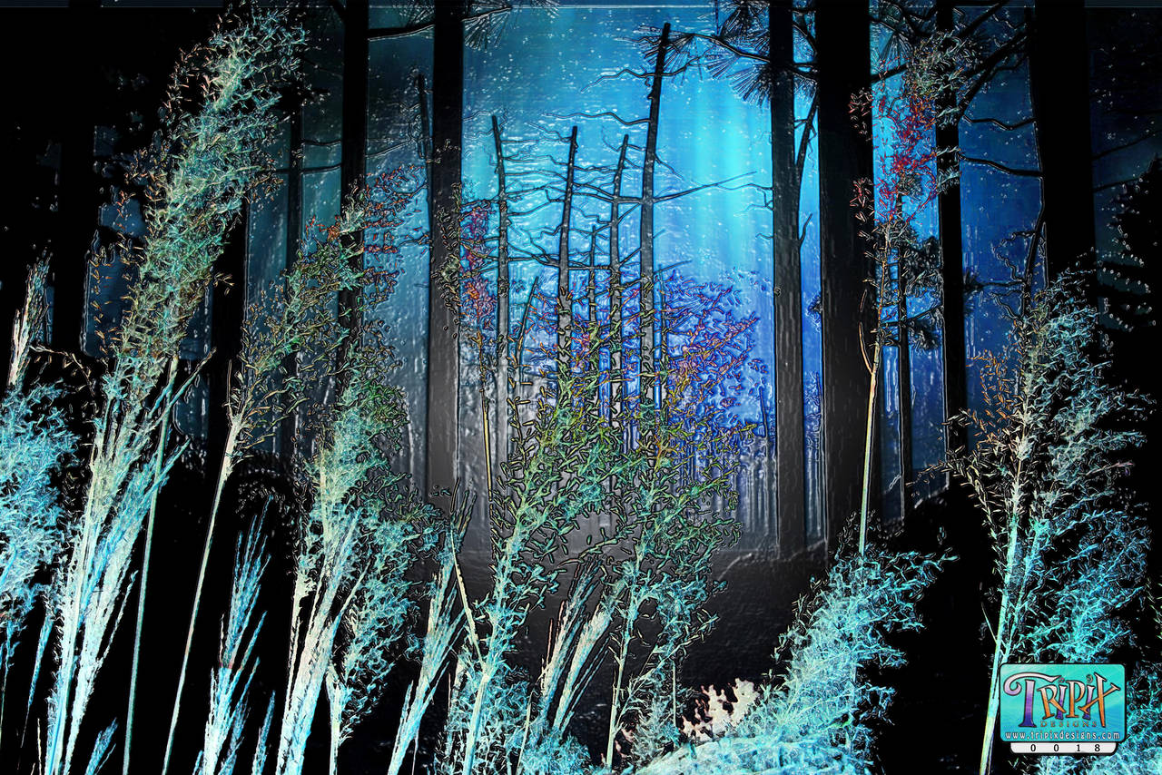 Supernatural Floresta by tripixdesigns