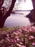 Like a dream.. by BubbleCloud