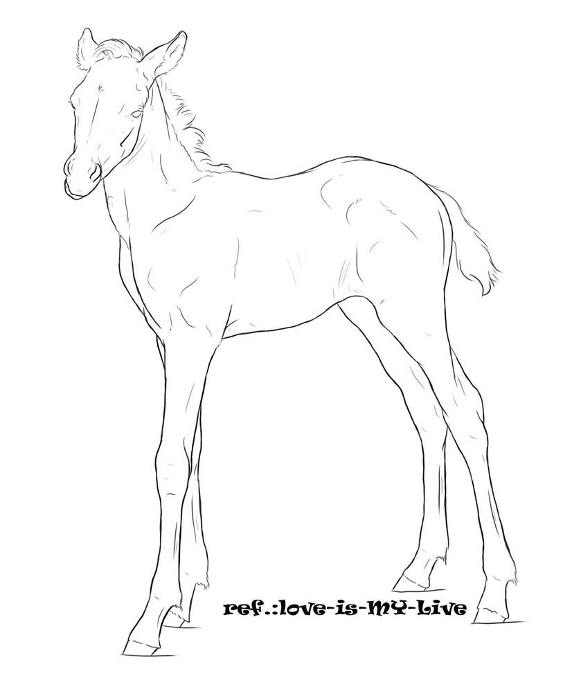 foal line 1 by Pashiino