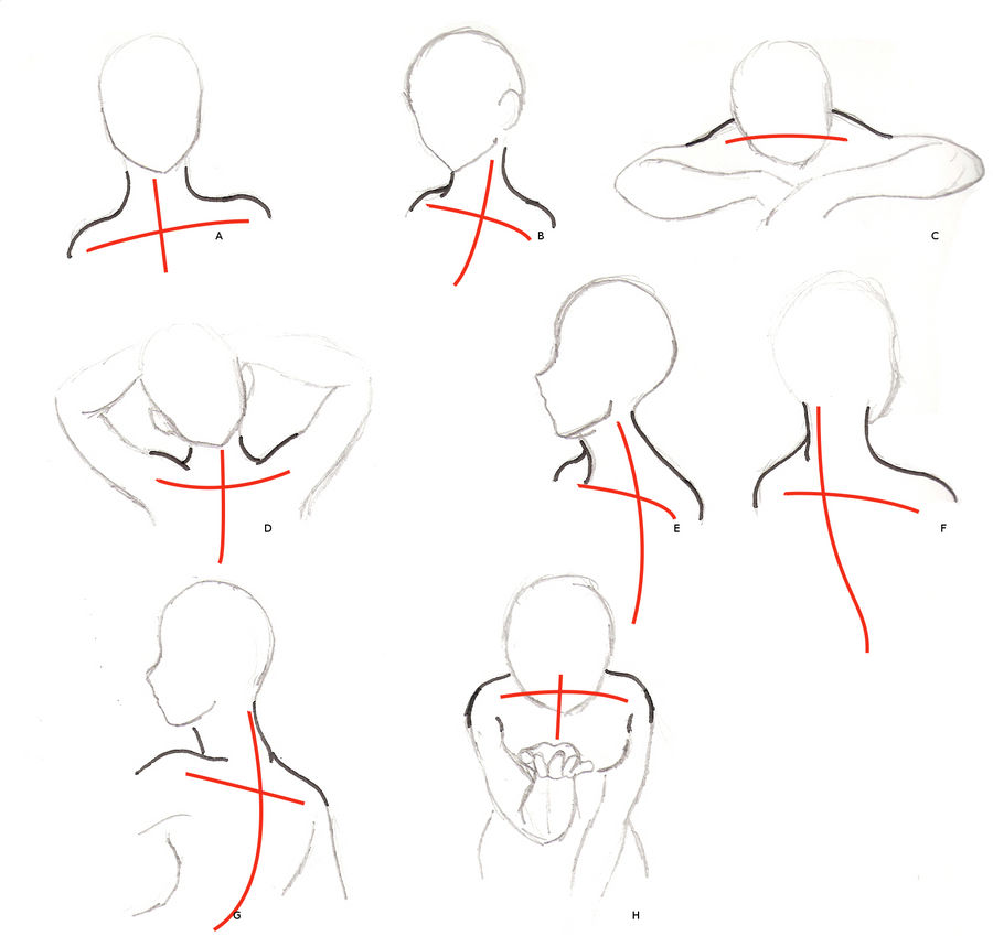 Neck and Shoulders tutorial by Nstone53 on DeviantArt