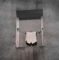 Standard by AlexandraSophie