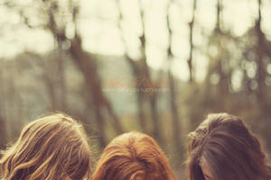 Palette by AlexandraSophie