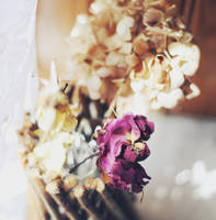 Dead spring by AlexandraSophie