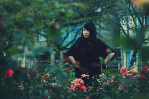 Parmi le froid et les roses by AlexandraSophie