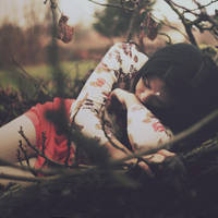 Birds VII by AlexandraSophie