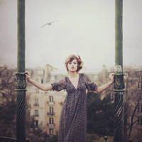 Birds VII by AlexandraSophie