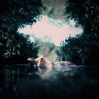 Millions of mirrors by AlexandraSophie