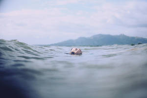 Float by AlexandraSophie