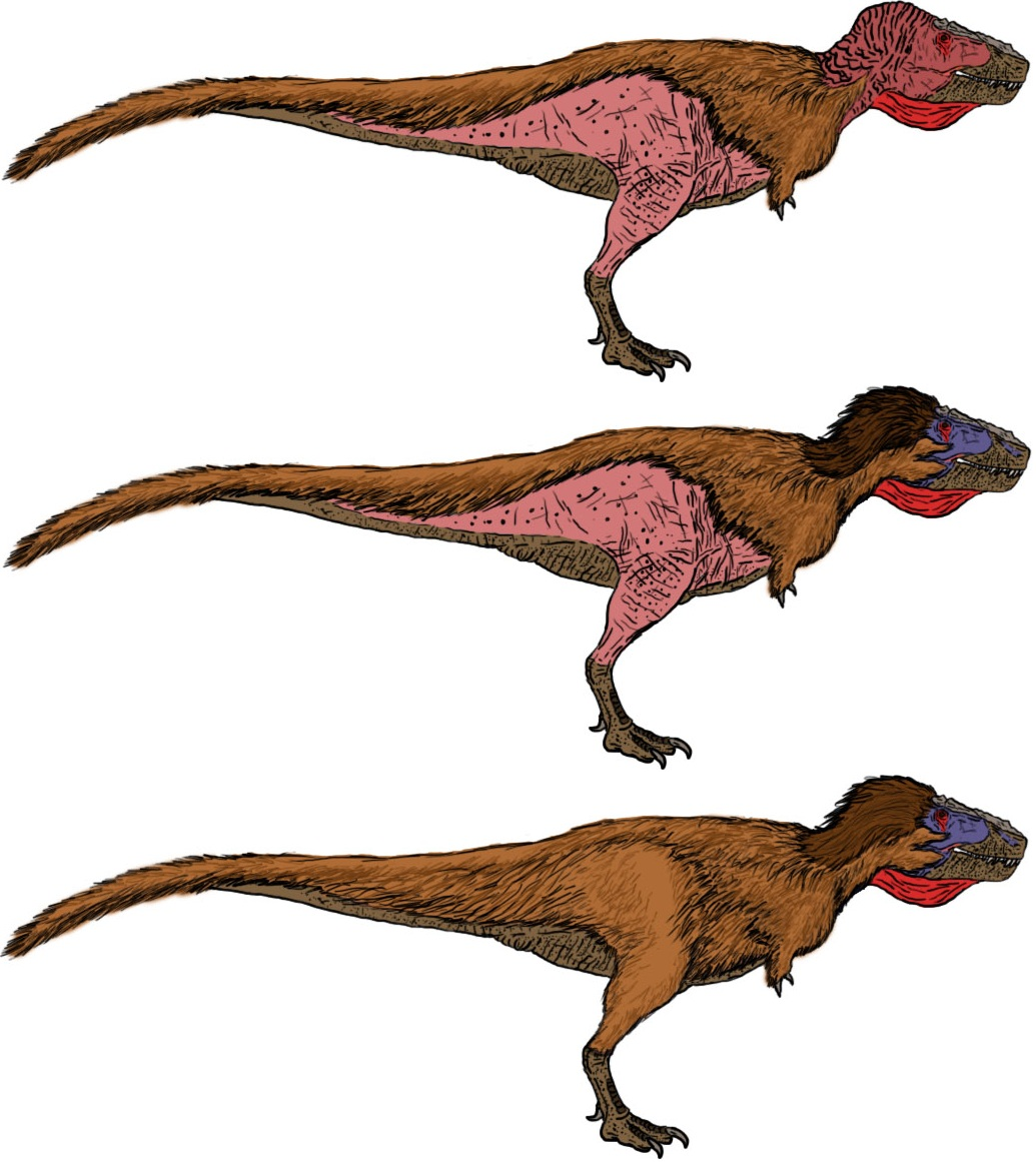 Adoptable inspired Tyrannosaurus by Tomozaurus on DeviantArt