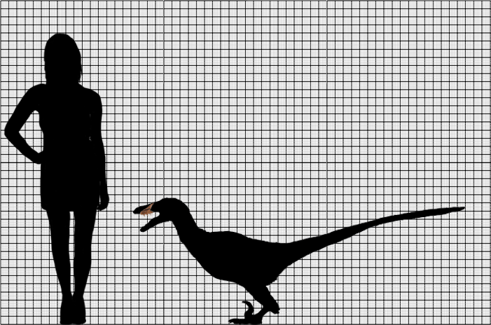 Acheroraptor scale by Tomozaurus