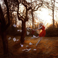 2/52 by Sturmideenkind