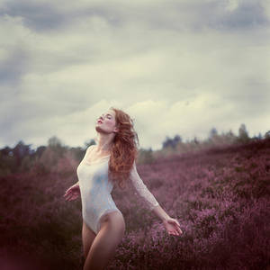 Heathland by Sturmideenkind Heathland by Sturmideenkind