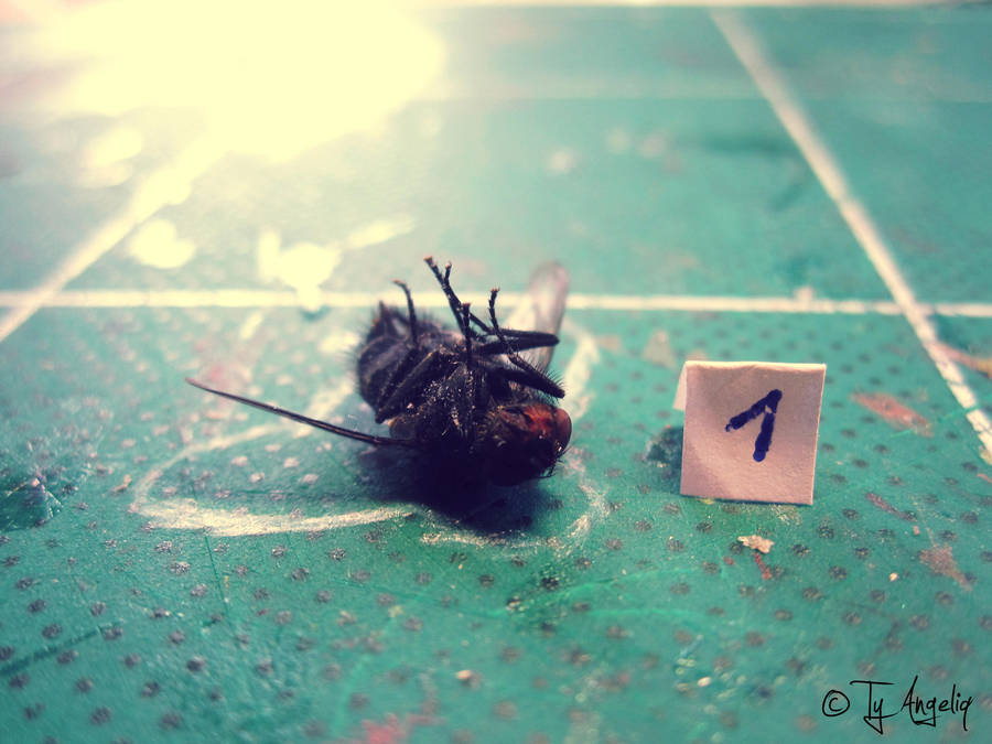 scene of murder by Ty-Angeliq