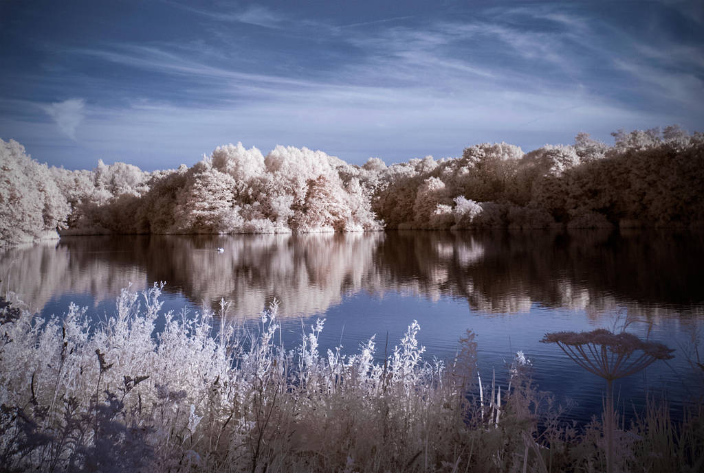Rowley Lake By P41n 666 On Deviantart