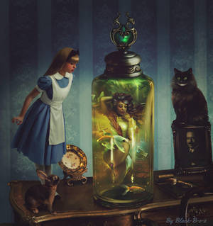 Alice's Adventures by Black-B-o-x Alice's Adventures by Black-B-o-x