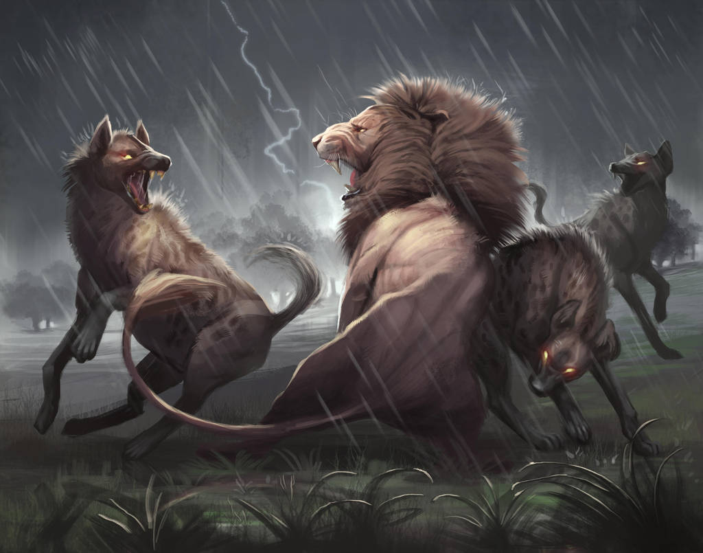 Lion vs Hyena Painting by TehChan on DeviantArt